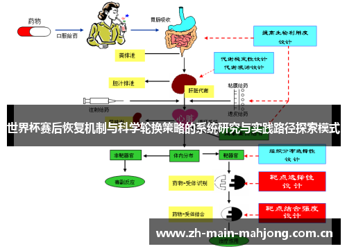 世界杯赛后恢复机制与科学轮换策略的系统研究与实践路径探索模式 世界杯赛后恢复机制与科学轮换策略的系统研究与实践路径探索模式